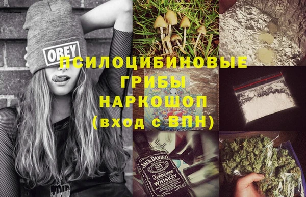 винт Осинники