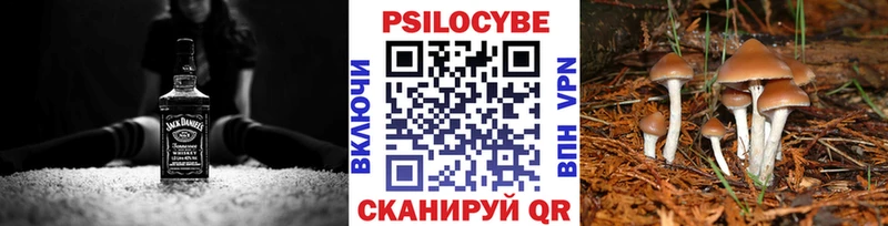 Галлюциногенные грибы MAGIC MUSHROOMS  закладки  Петровск 
