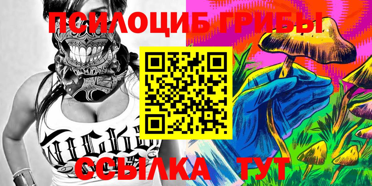 Петровск  купить   Вход с VPN  Псилоцибиновые грибы прущие грибы 