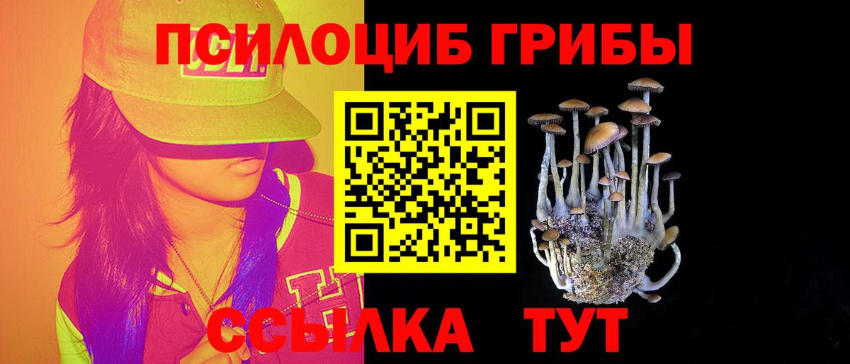 Псилоцибиновые грибы Psilocybe  Петровск 